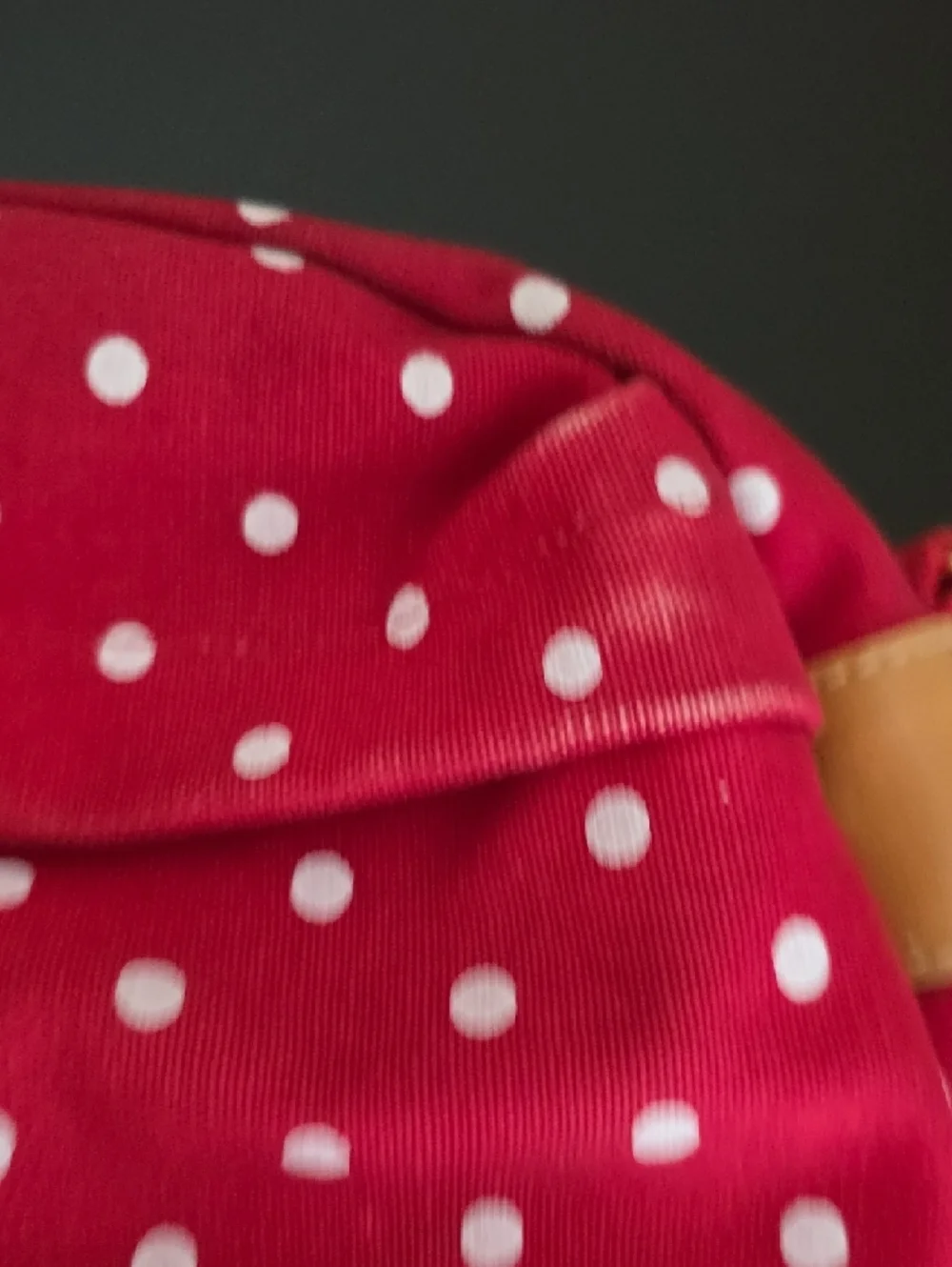 Capezio Polkadot Crossbody Bag
